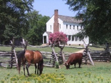 plantations to visit in charlotte nc
